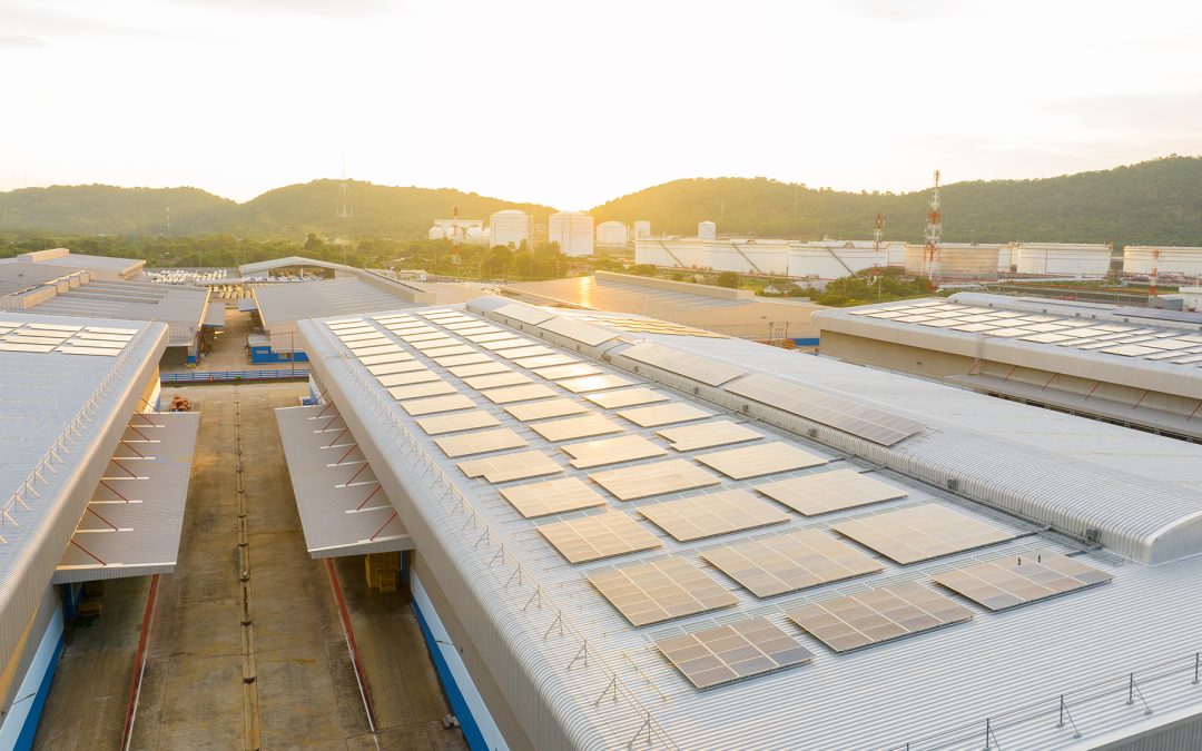 Why We Need More Cold Storage Facilities: Securing the Future of Our Food Supply