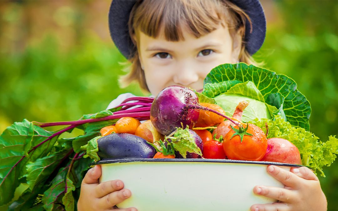 Tackling Food Waste Through Smarter Cold Chain Investments