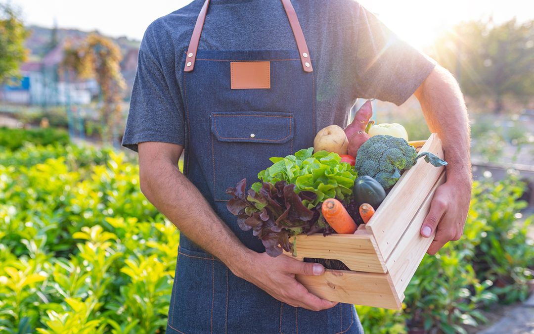 Why Pre-Cooling and Cold Storage Are Essential for Fresh Produce Safety and Quality