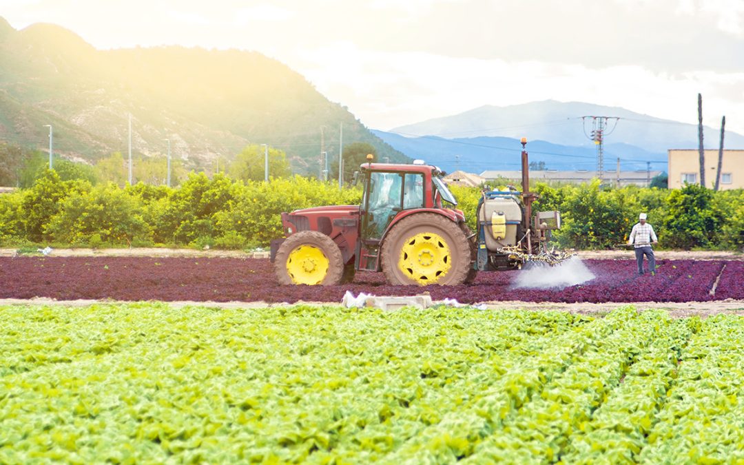 Challenges Facing U.S. Farming in 2026 and How Cold Storage Can Help the Produce Industry Thrive